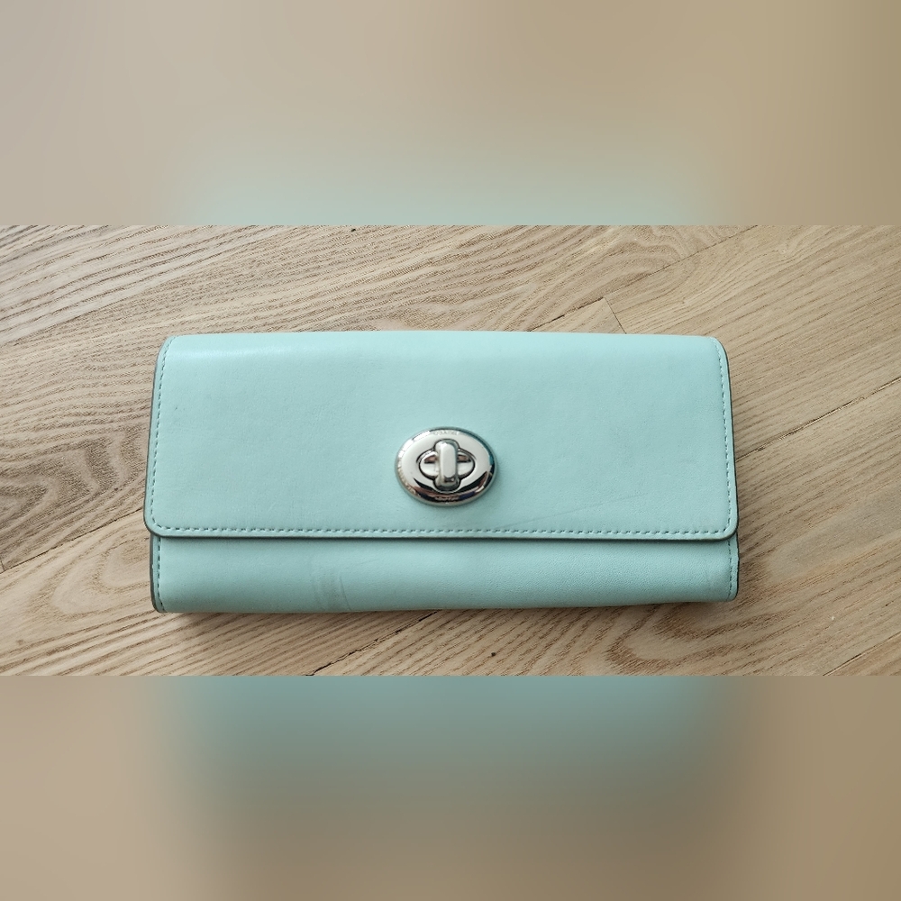 Mint Green Wallet with Silver Accent